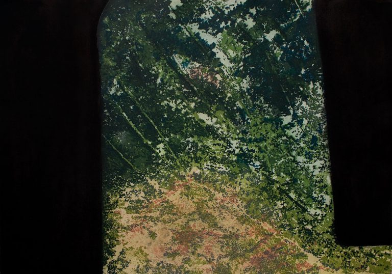 Glade: screen print and intaglio by Stephen Vaughan